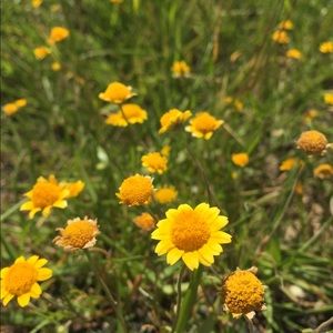 Meet your Posher, Bonnie